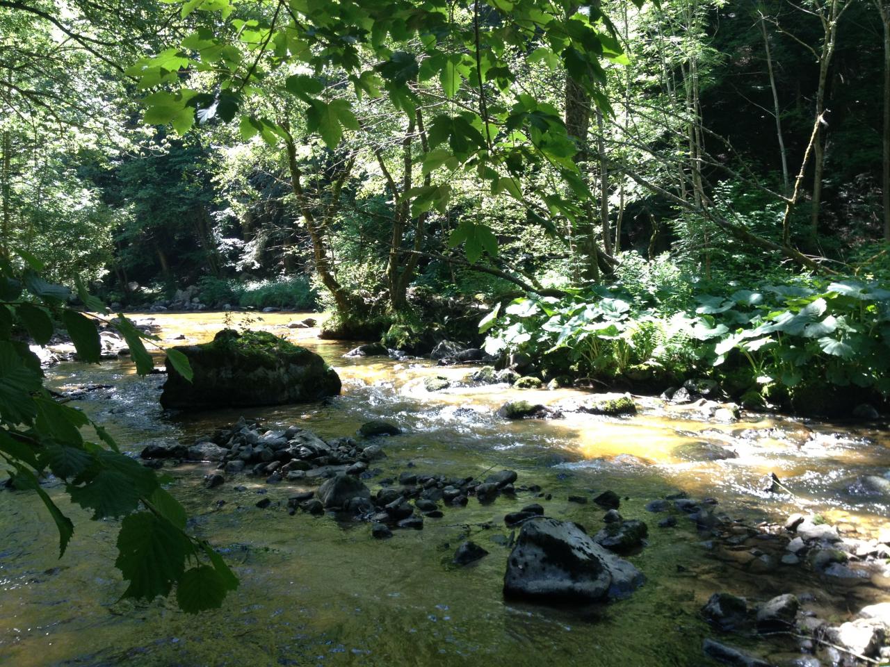 La rivière de la semène