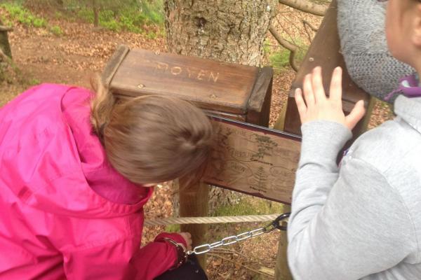 Escape Game en forêt